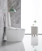 2230C One - Piece Smart Toilet with Advanced Bidet and Soft Closing Seat - NeoNova Decor