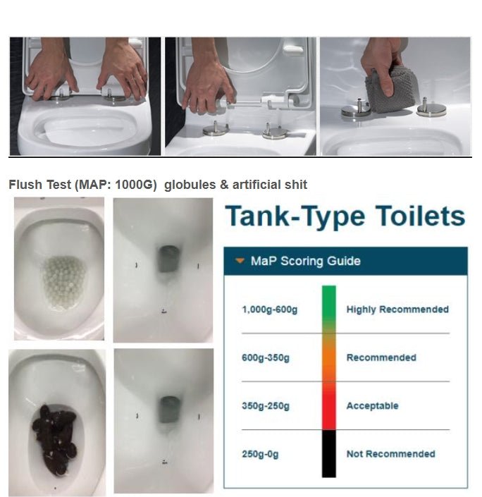 One - Piece Siphonic Toilet – Dual Flush, Soft Close Seat, 12” Rough - in，2187Y - toilet NeoNova Decor